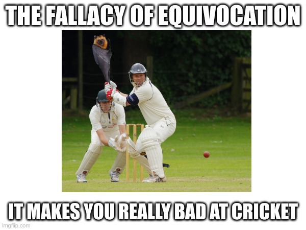 A bad cricketer
