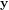 y  