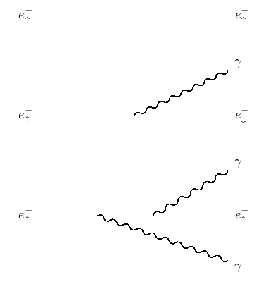 Feynman diagrams