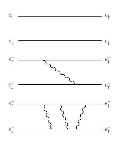 Feynman diagrams